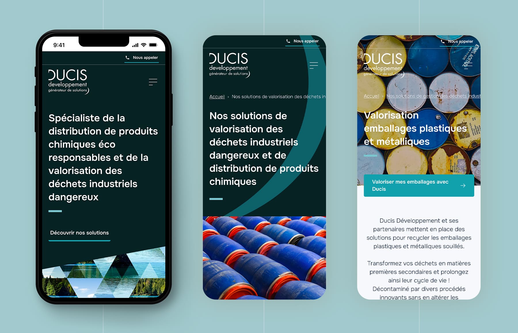 Site web Ducis Développement