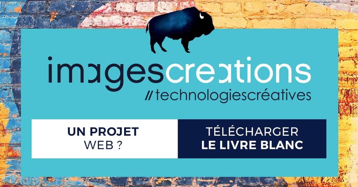 Réussir son projet web